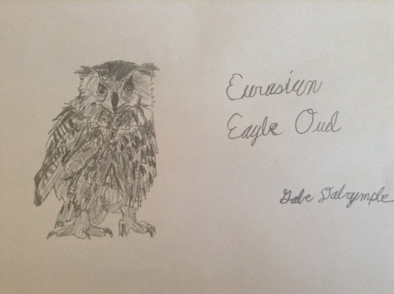 My Eurasian Eagle Owl